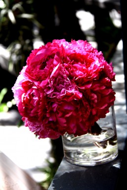 hot pink peonies bridal bouquet