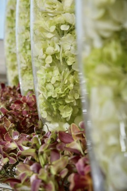 hydrangea table decoration