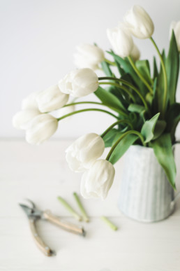 white tulips arrangement